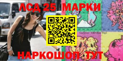 стаф Апшеронск