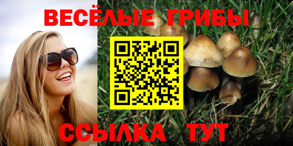 Псилоцибиновые грибы GOLDEN TEACHER  Галлюциногенные грибы Psilocybine cubensis  Кемерово 