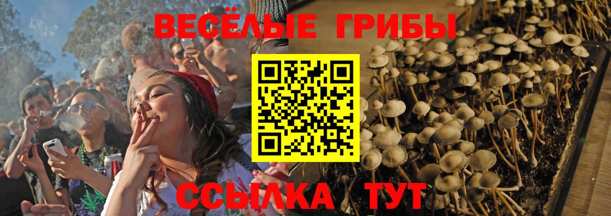 Галлюциногенные грибы Magic Shrooms Кемерово