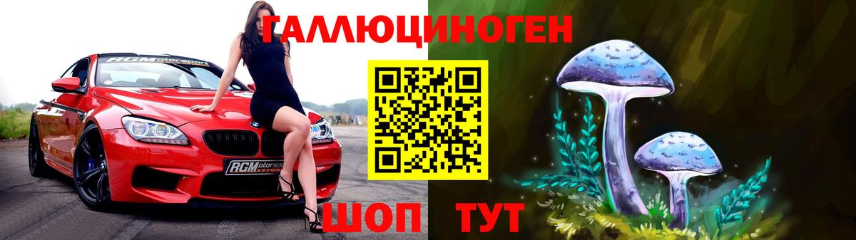Галлюциногенные грибы Psilocybe  Вход с VPN  Кемерово  Псилоцибиновые грибы Psilocybe 